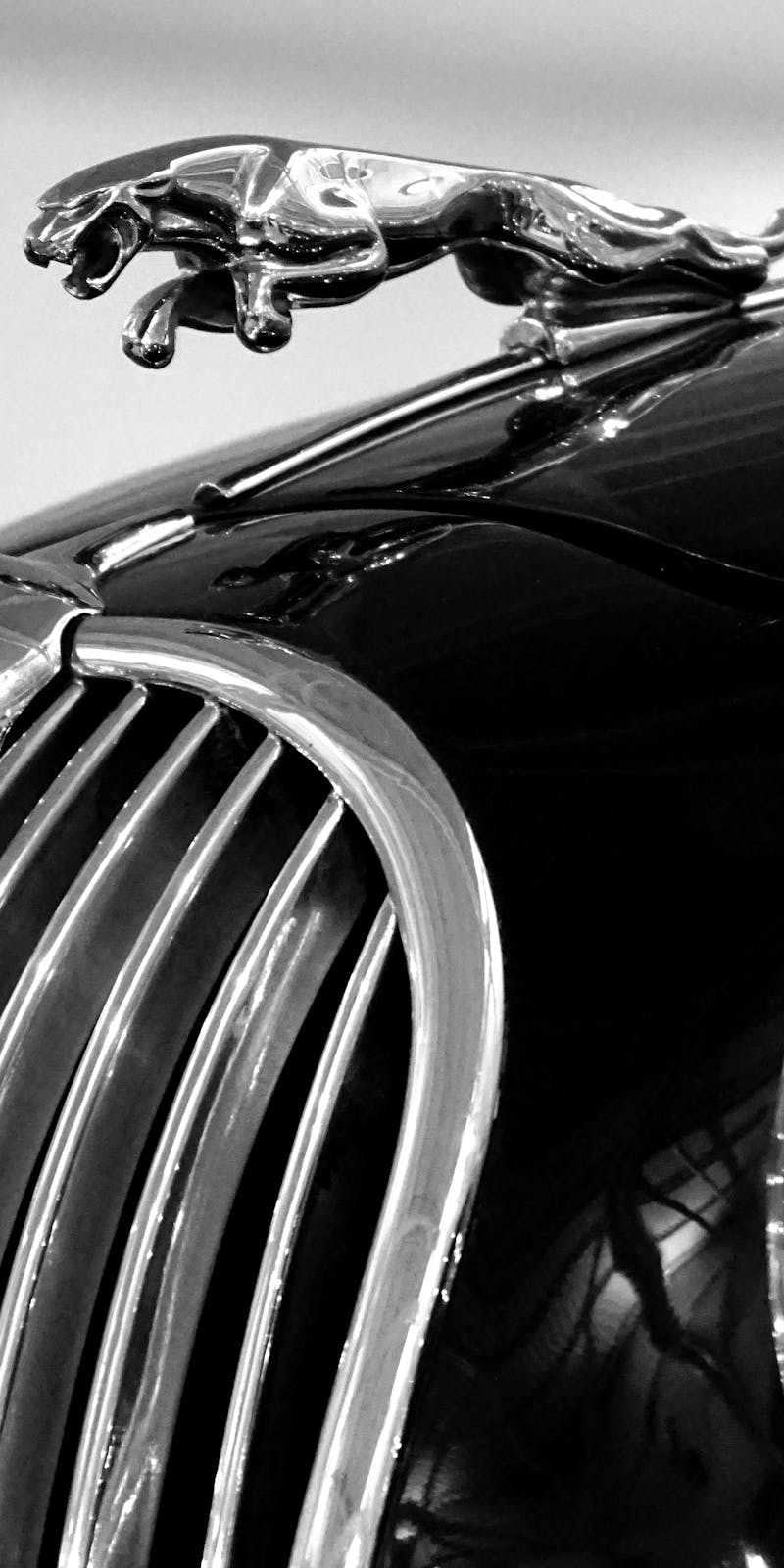 pexels-photo-192501-1