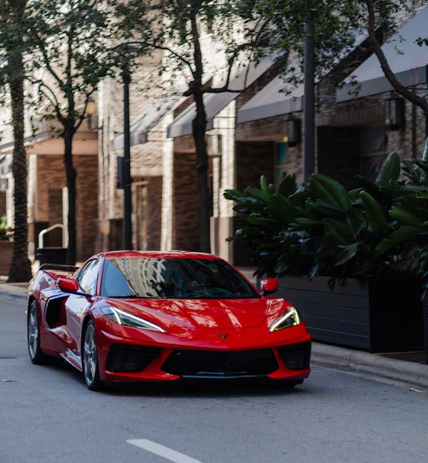 pexels-photo-33397573-1