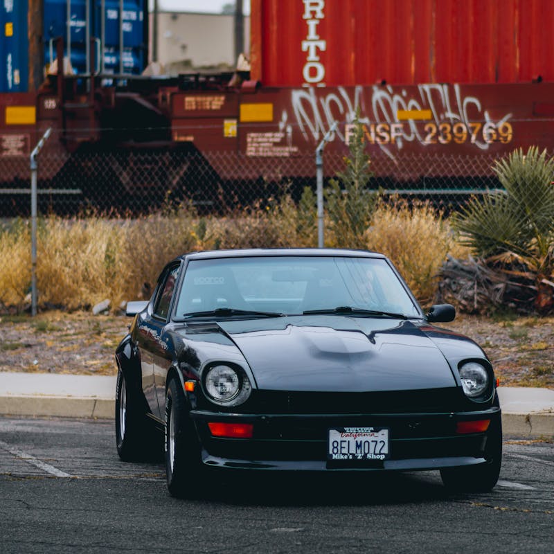pexels-photo-33419690-3
